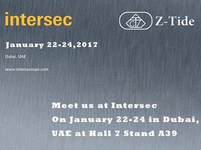 2017 UAE InterSec