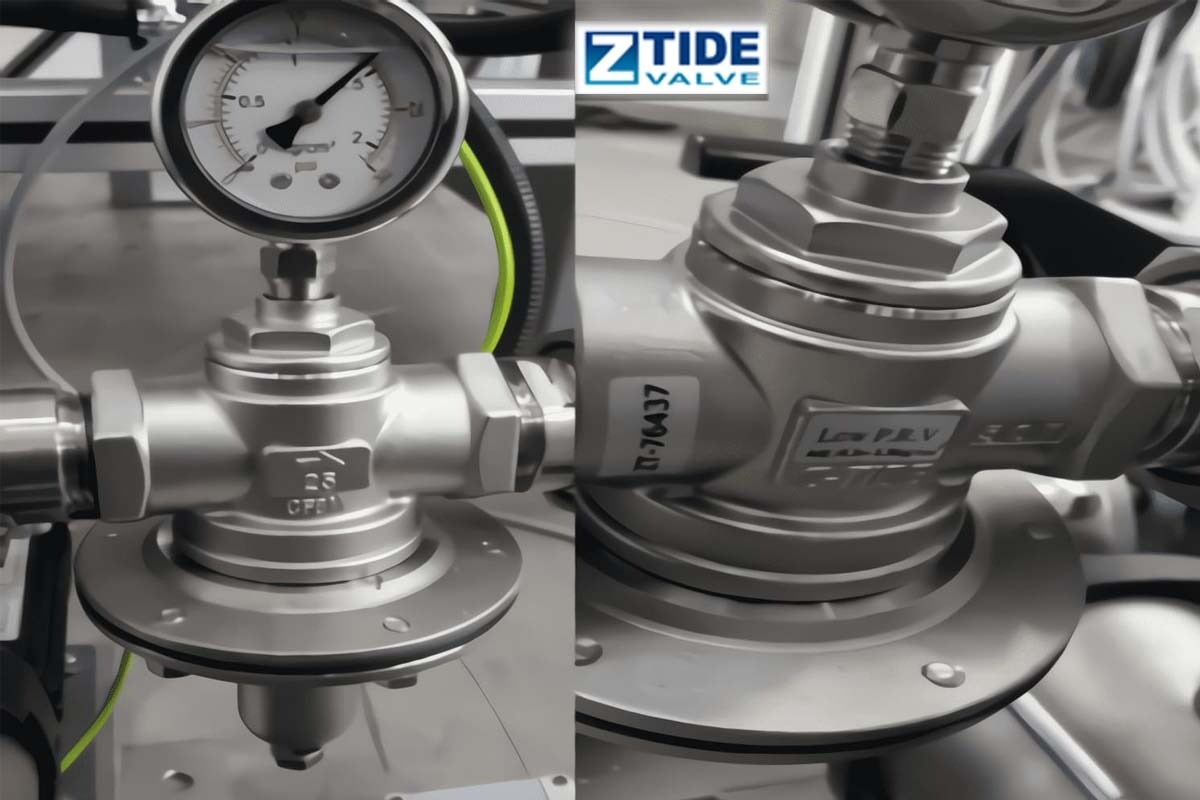 Turkey Direct Acting Low Pressure Type Pressure Reducing Valve (SS316)